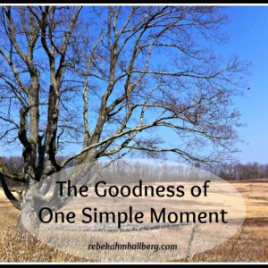 The Goodness of One Simple Moment