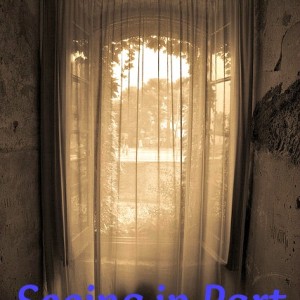 Seeing in Part (but needing to wholly trust) || rebekahmhallberg.com
