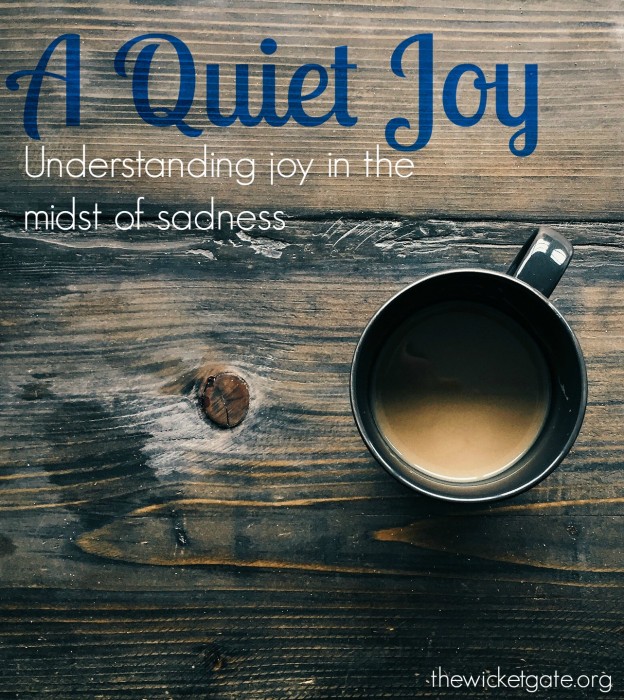 A Quiet Joy